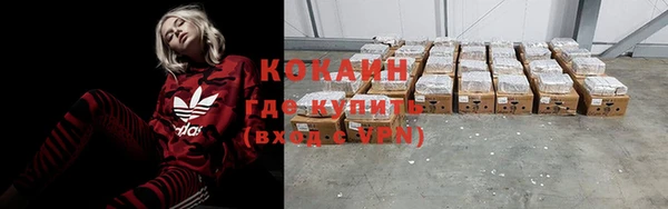 стаф Володарск