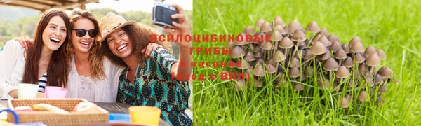 прущая мука Нефтегорск
