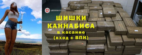 прущие грибы Щучье