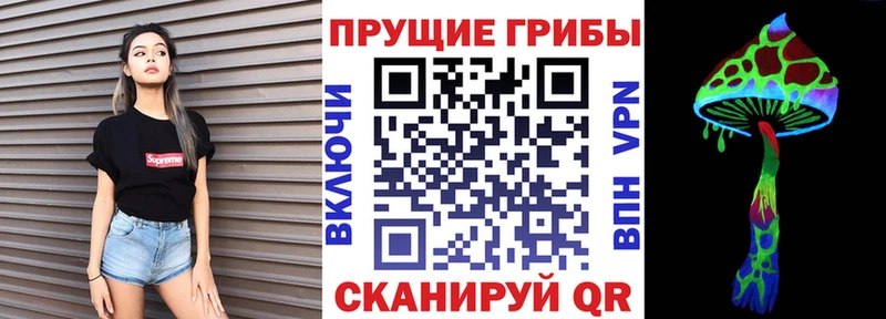 MEGA ТОР  наркотики  Нелидово  Псилоцибиновые грибы мицелий 